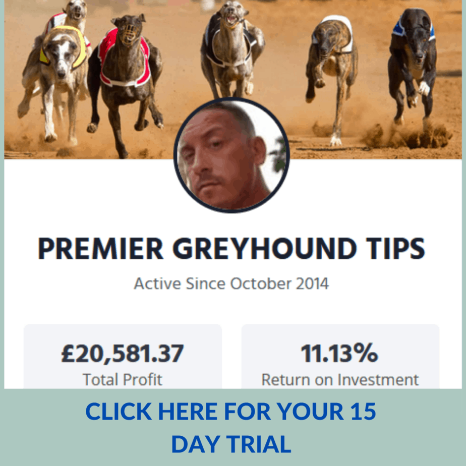 Premier Greyhound Tips Review