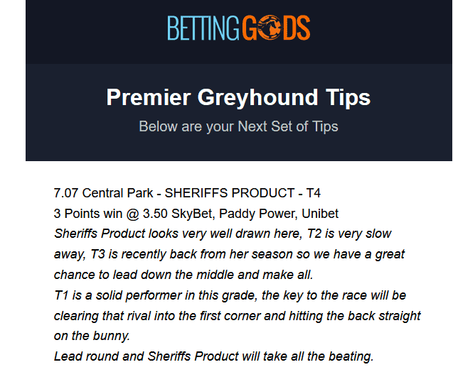 Premier Greyhound Tips Selections