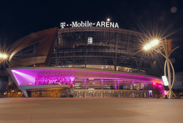 UFC Stadium