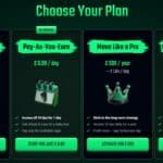 Betubetu Subscription Cost